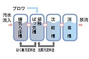 合併処理浄化槽